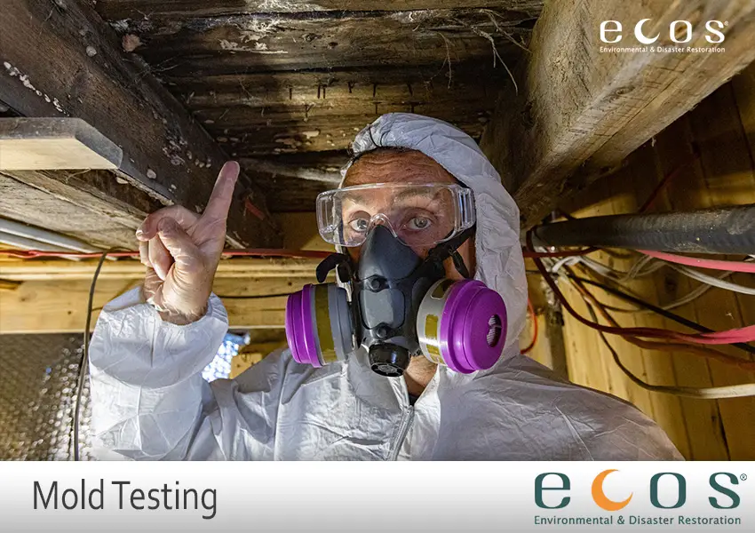 Mold Testing Grand Junction Colorado