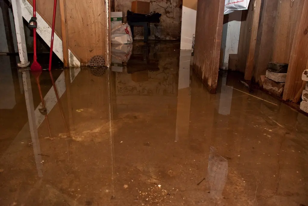 Flooded Basement Repair